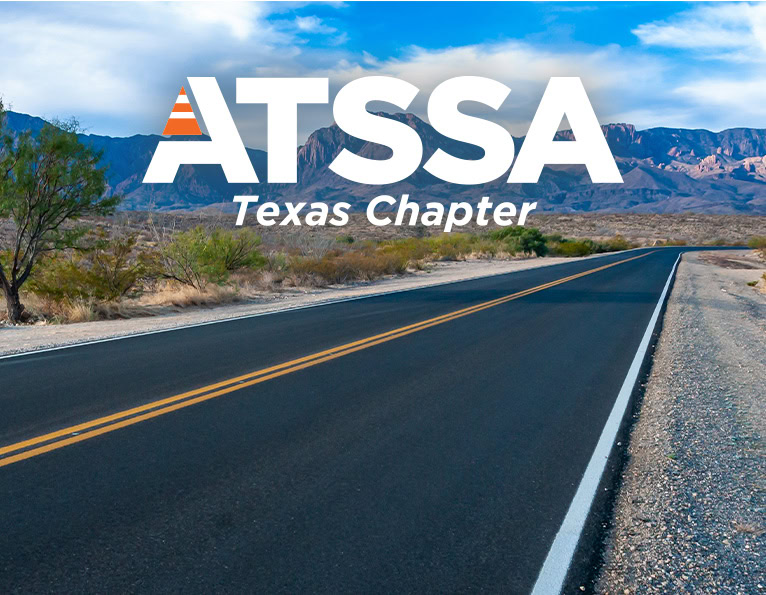 Texas Chapter logo on roadway